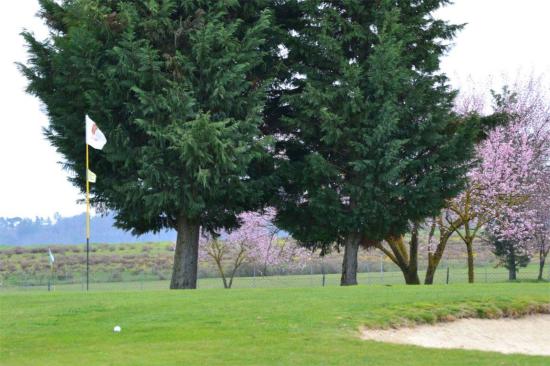 Golf Club Lamborghini