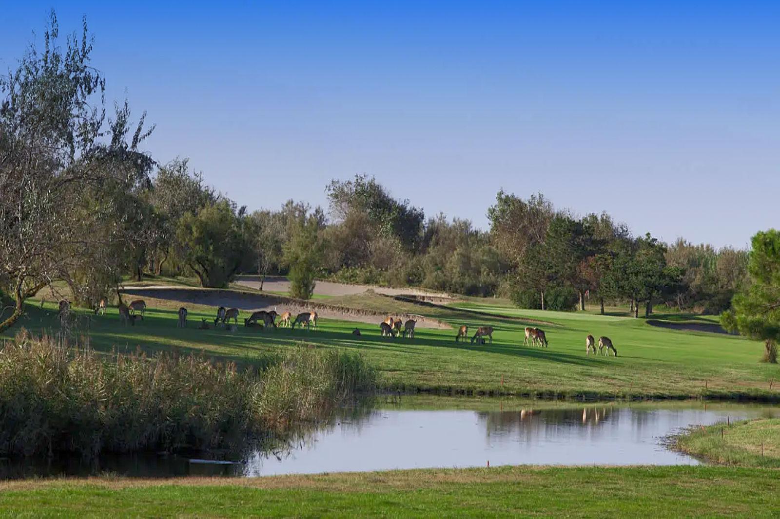 Albarella Golf Links