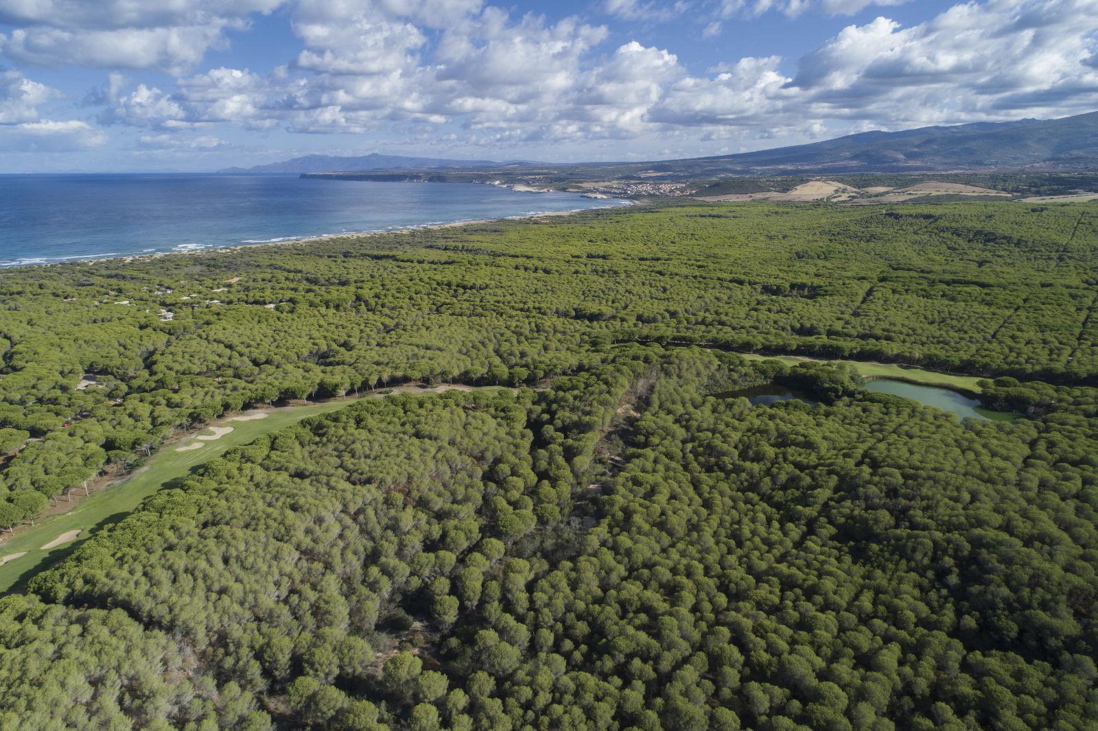 Foresteria degli Ulivi del Golf Club Is Arenas