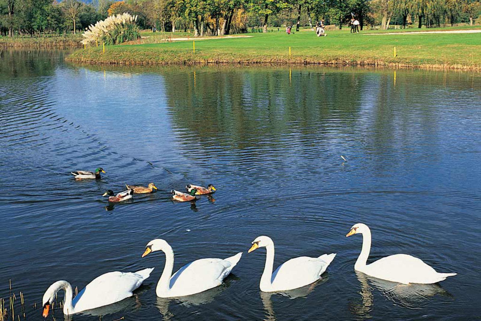 Golf Club Forte dei Marmi