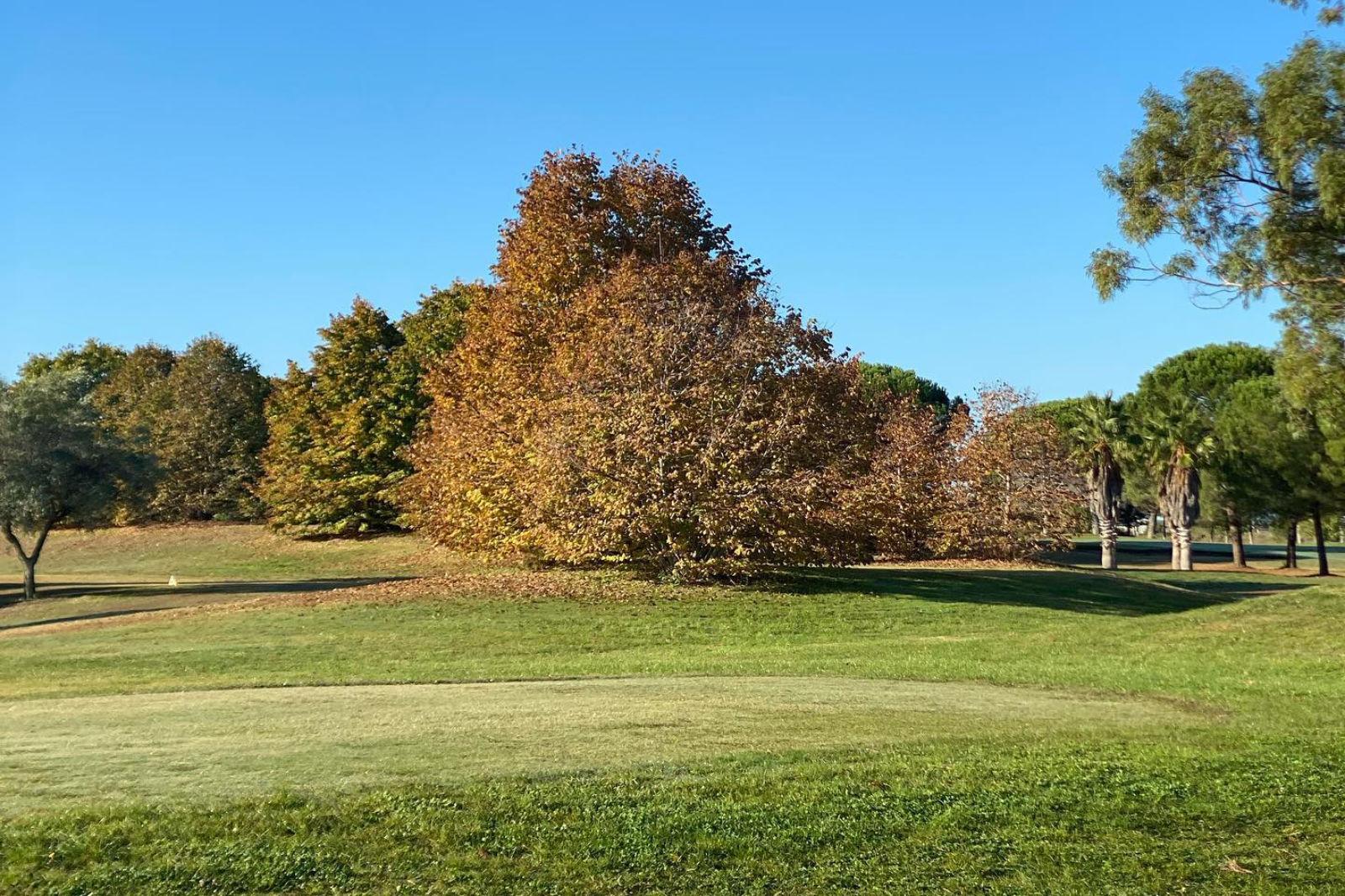 Barialto Golf Club