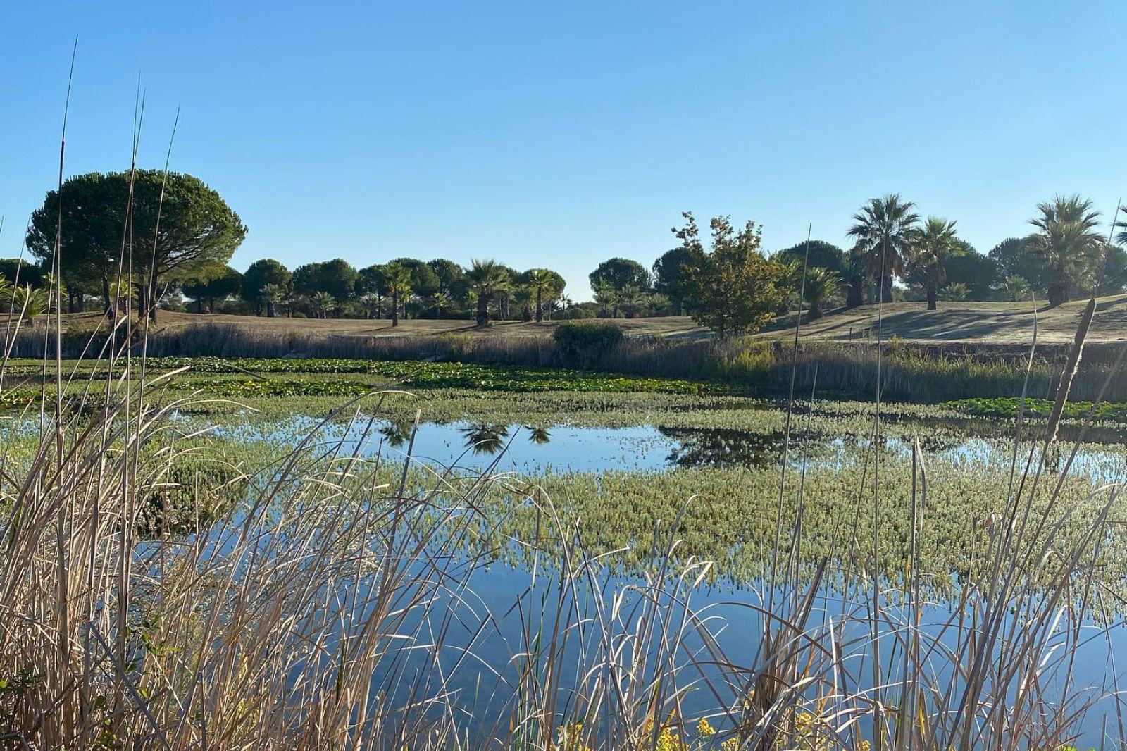 Barialto Golf Club