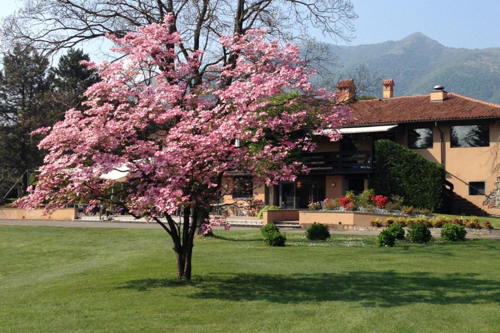 Golf Club Lecco