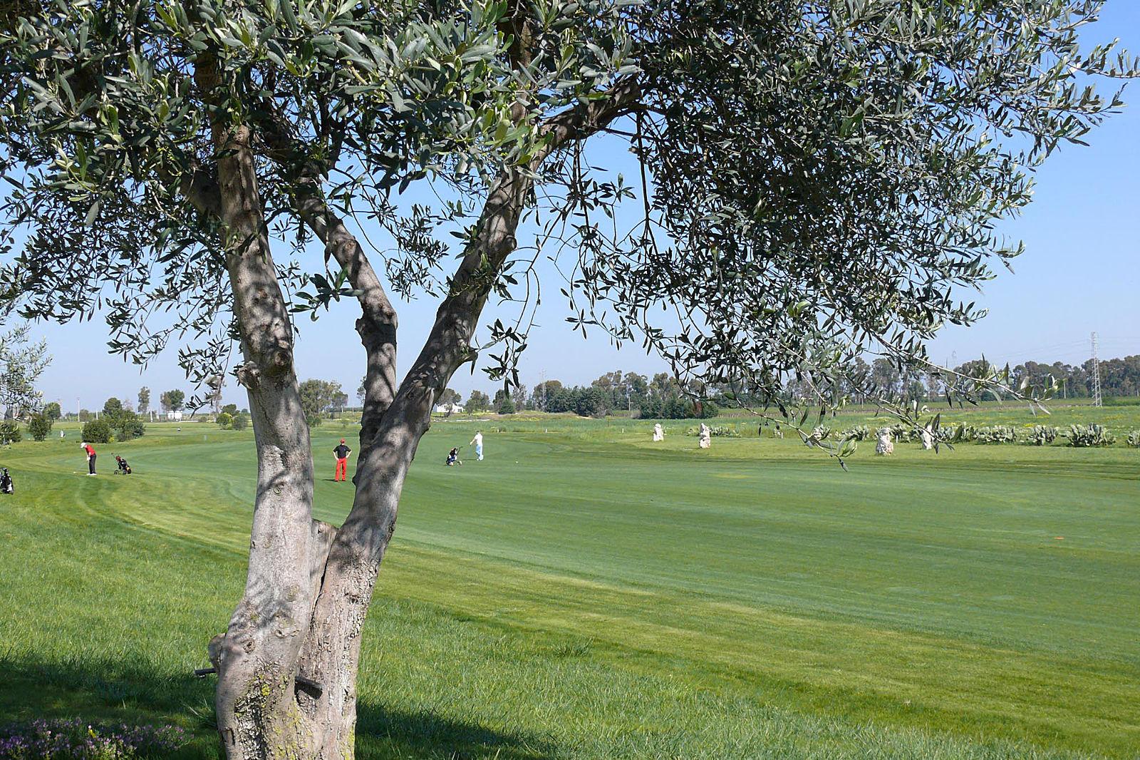 Golf Club Metaponto