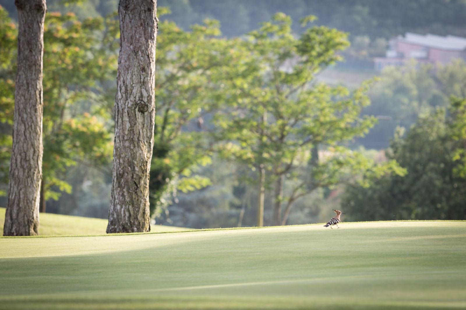 Golf Club Perugia