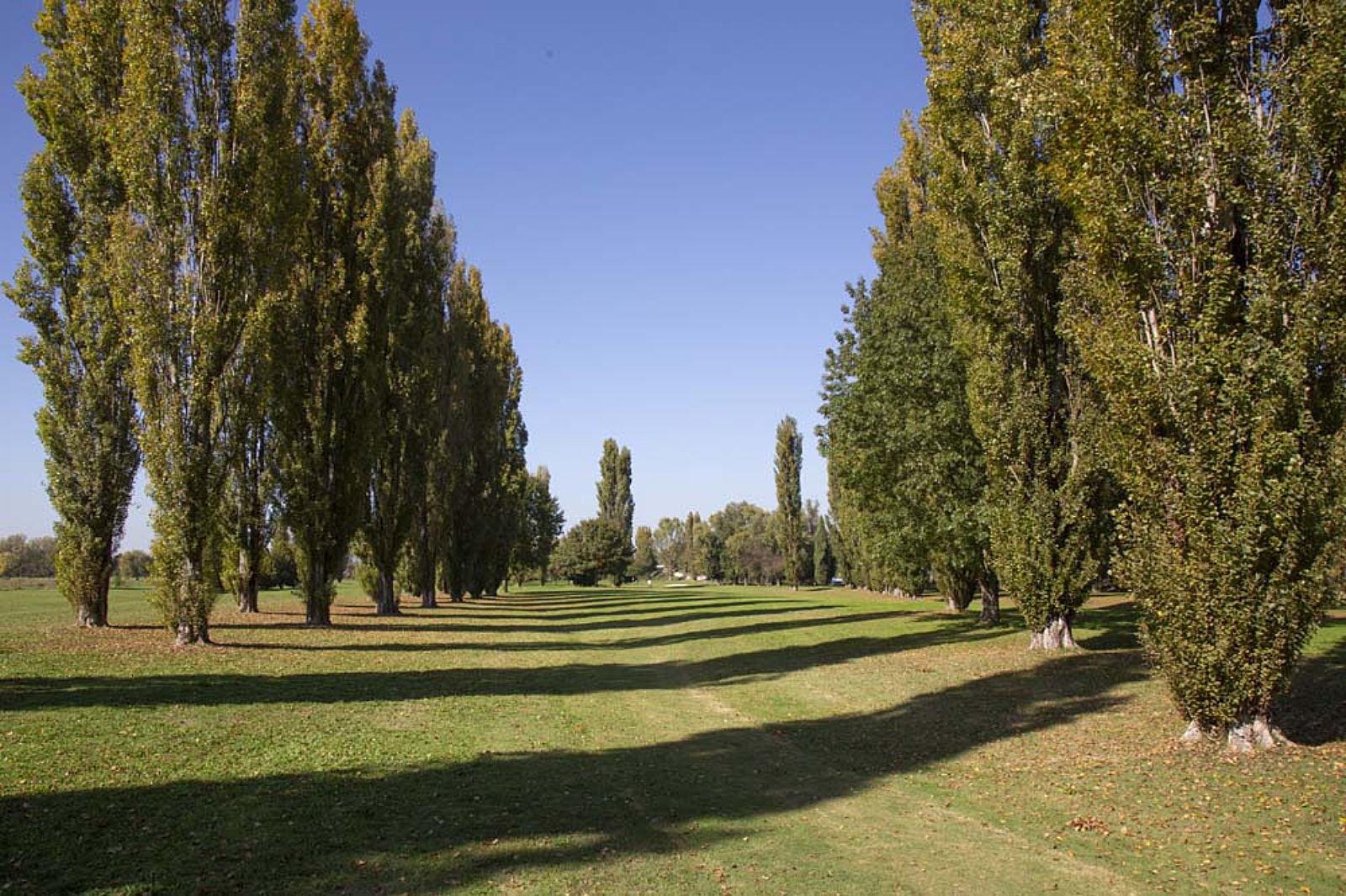 Golf Club Valdichiana