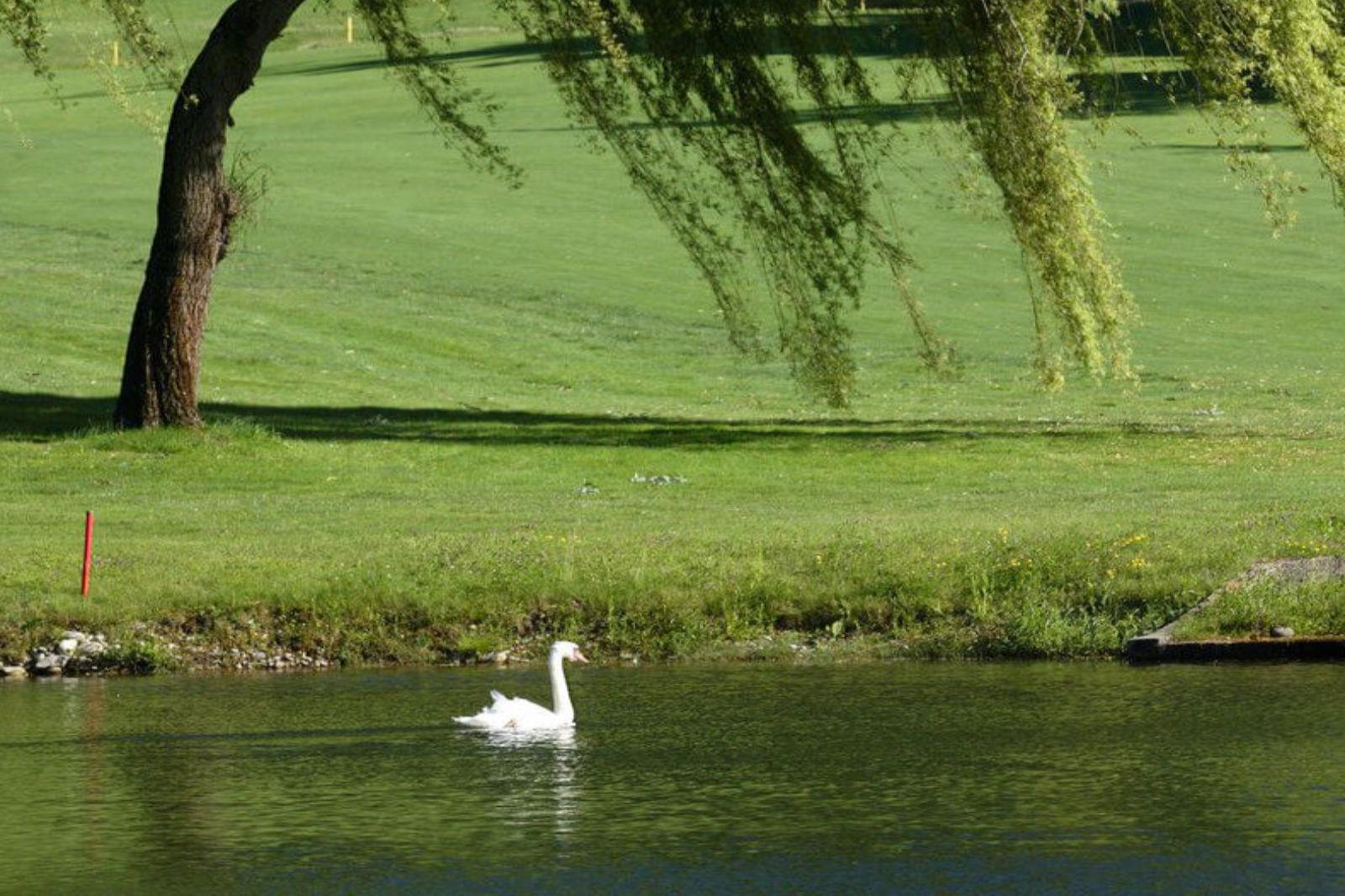 Golf dei Laghi