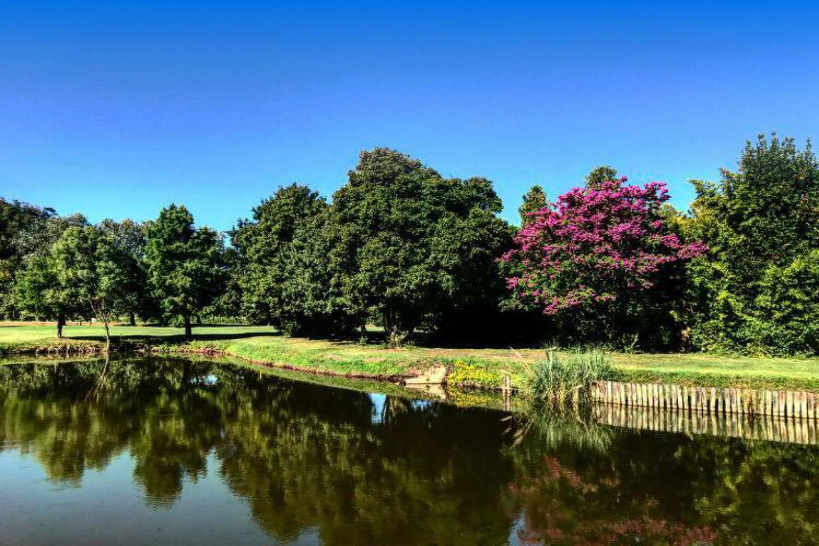 Golf Terme di Galzignano