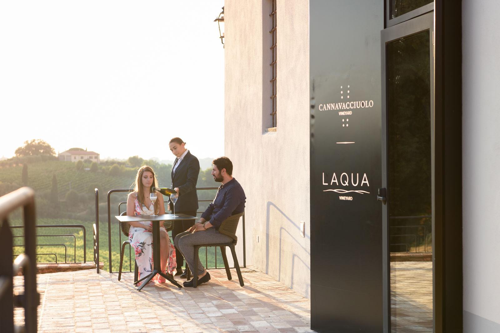 LAQUA Vineyard