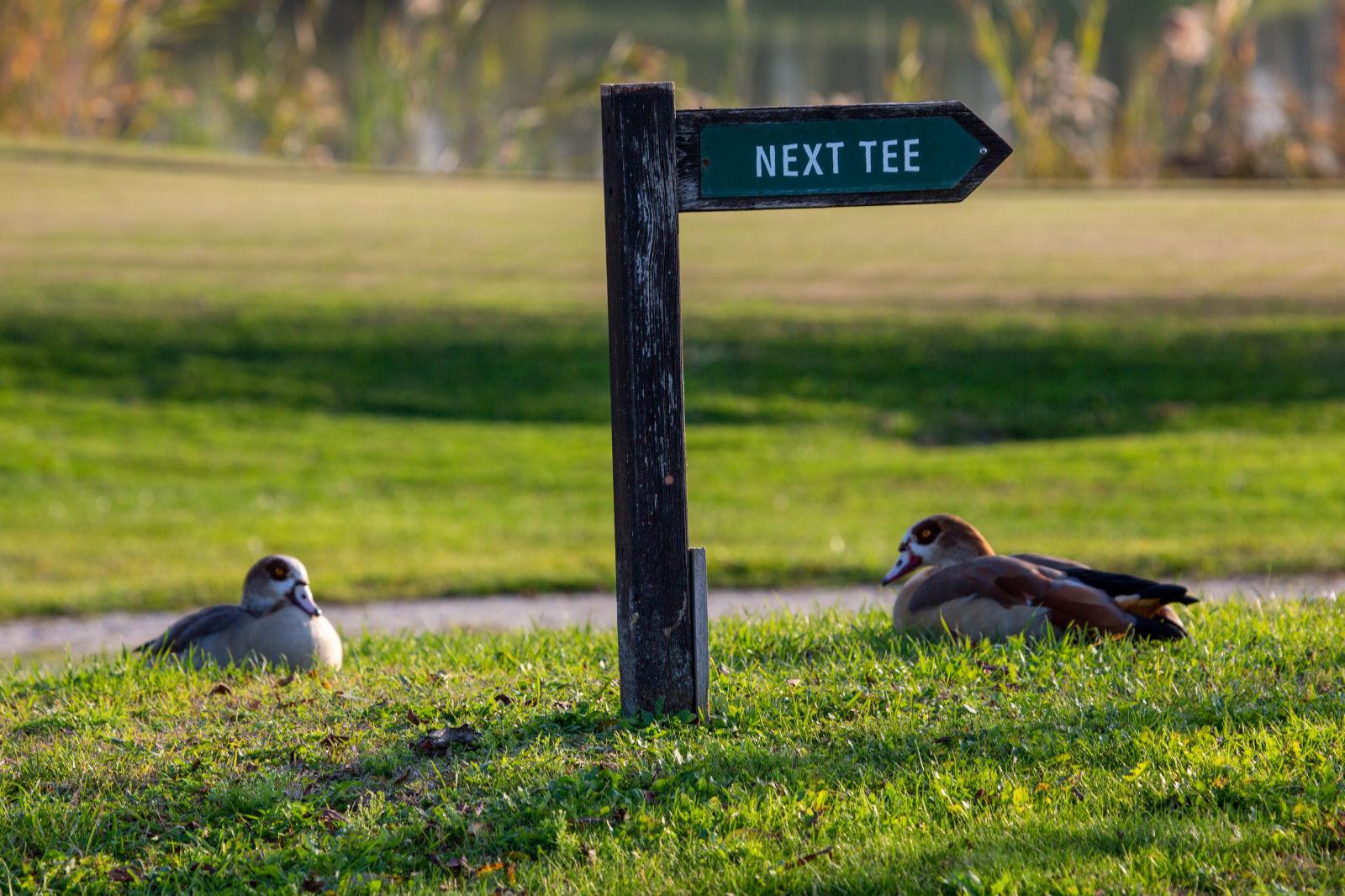 Le Fonti Golf Club