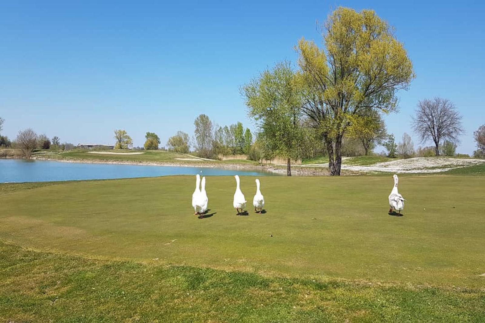 Rimini - Verucchio Golf Club