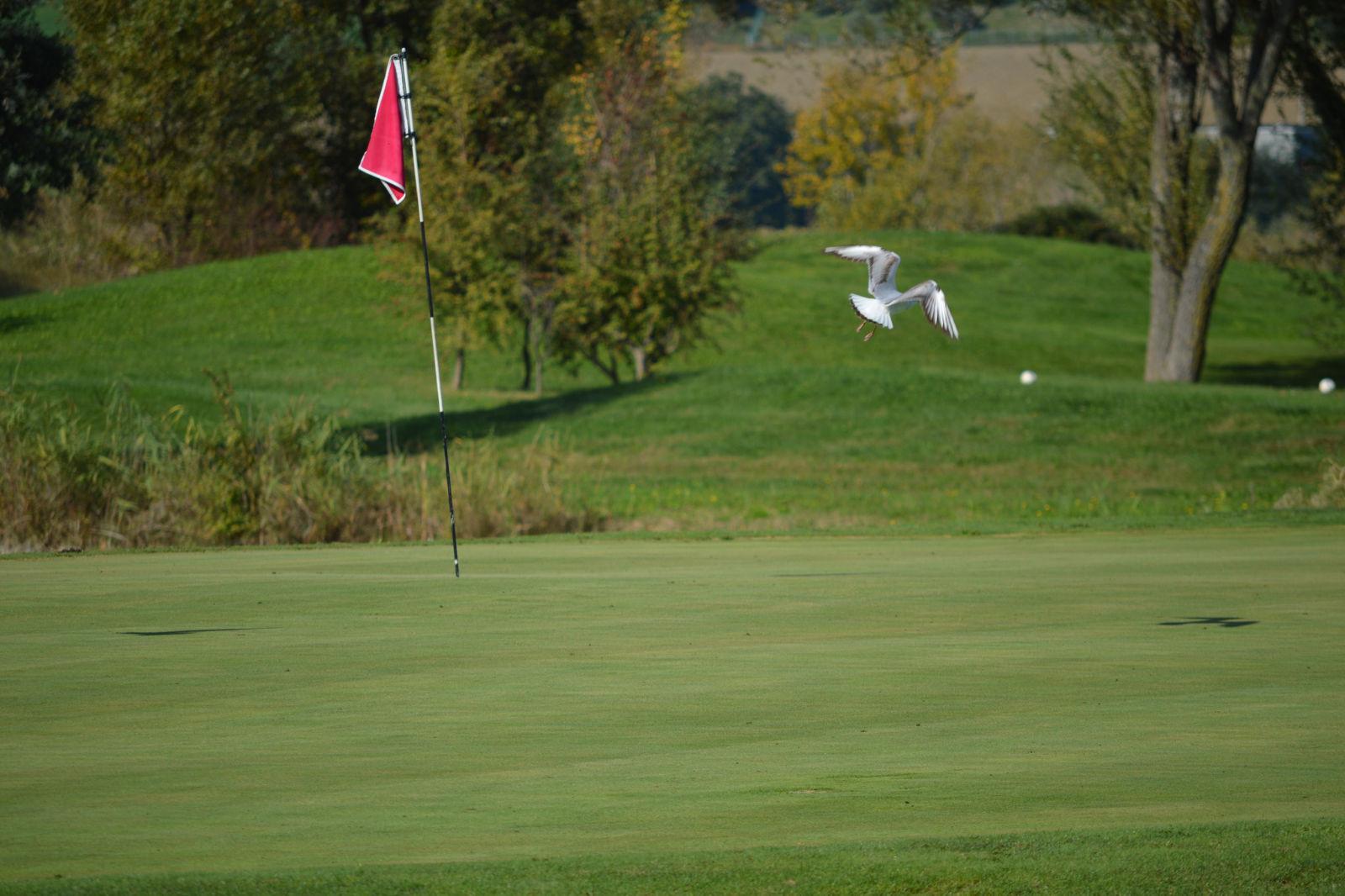 Rimini - Verucchio Golf Club